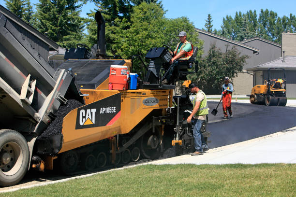 Best Professional Driveway Pavers  in Edinburg, TX